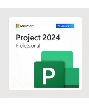PROJECT 2024 PROFESSIONAL -...